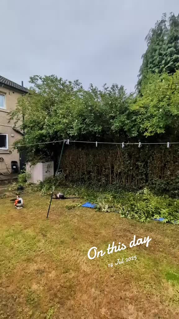 @Glasgow_Tree_Care