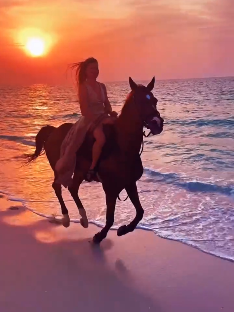 @Amapola🌺