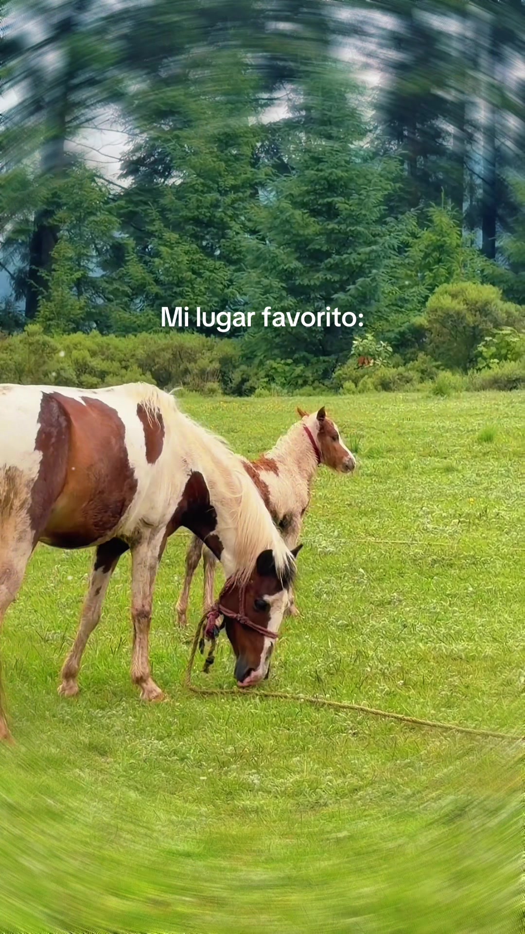 @Casandra