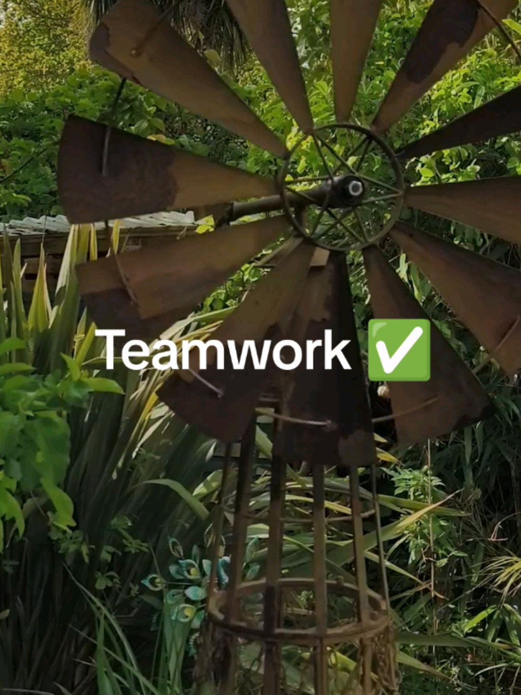 @Teamwork
