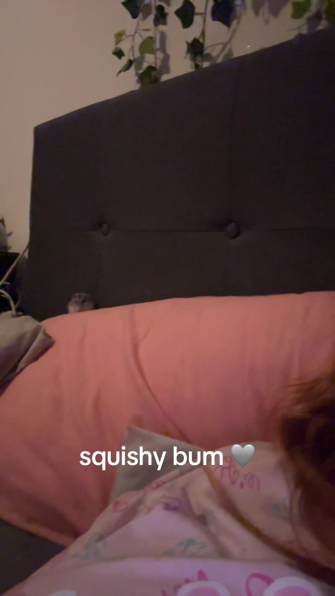 @Lara ๐