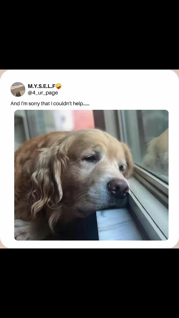 @M.Y.S.E.L.F🤪