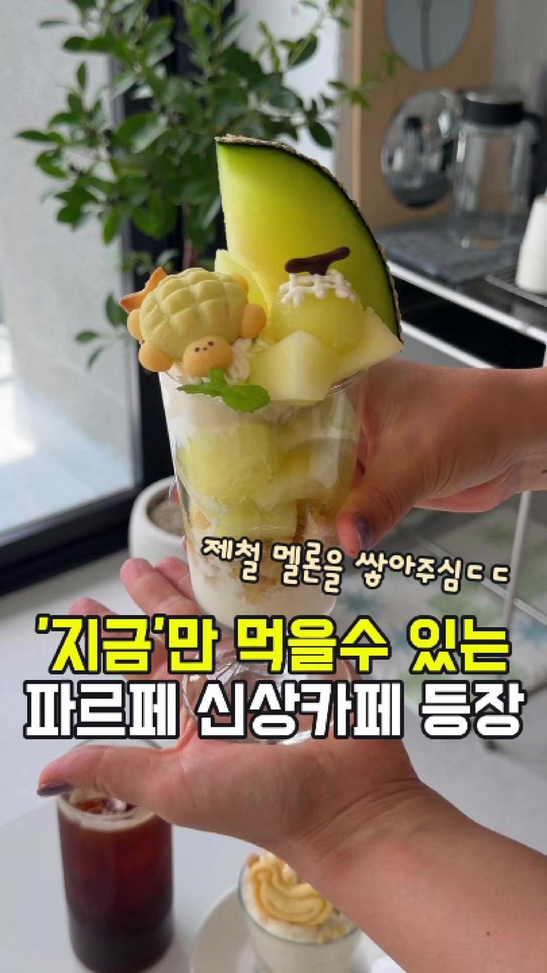 @대전토박이