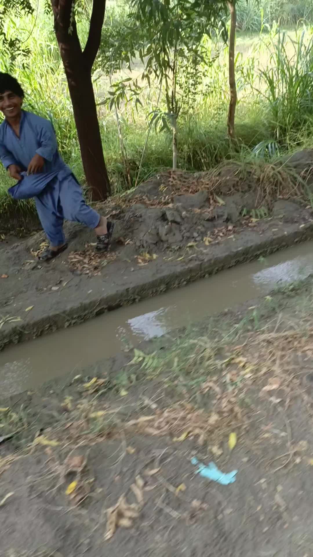 @گُڈو بادشاہ