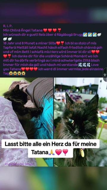 @💜ᑎEOᑎ-ᗯᕼITE 🇨🇭💚♒💚