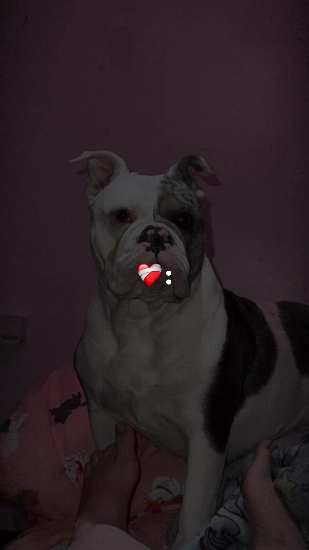 @💋🦄🩷TashaCrazygirl2024🩷🦄💋