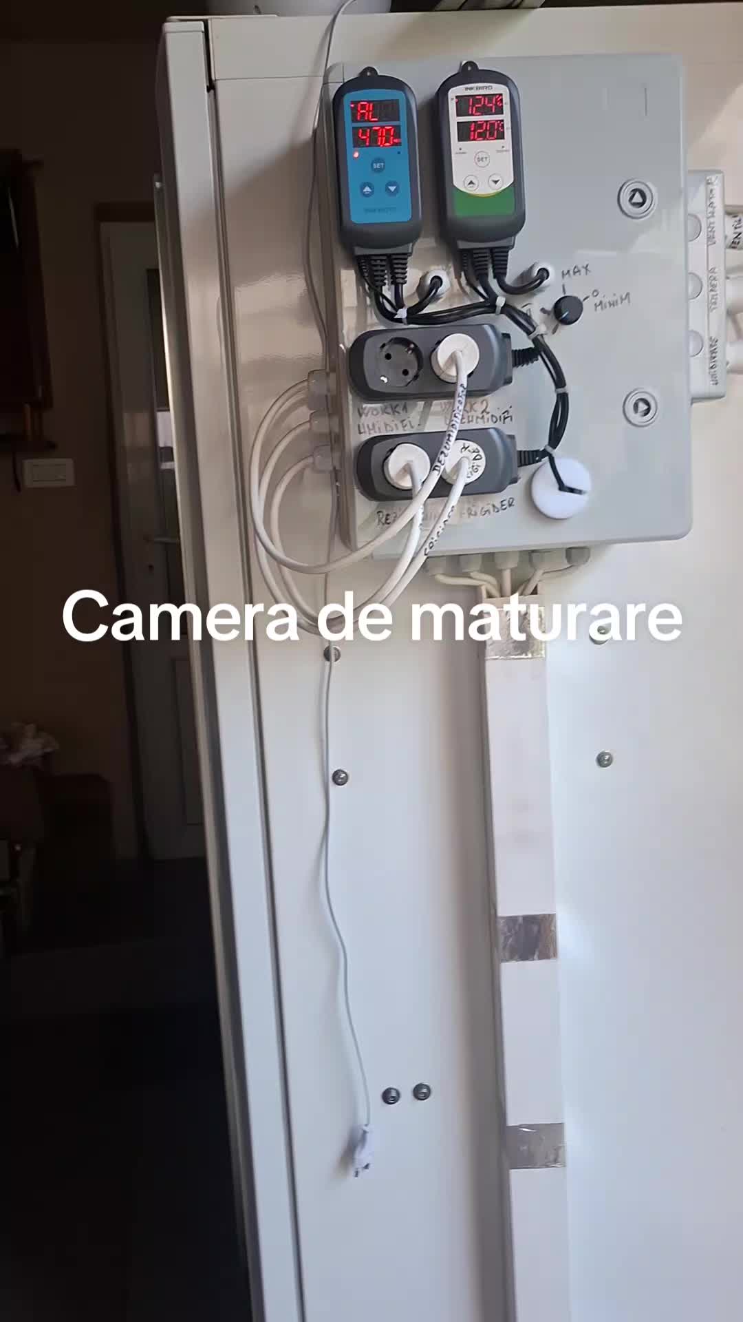 @bebe_matzi