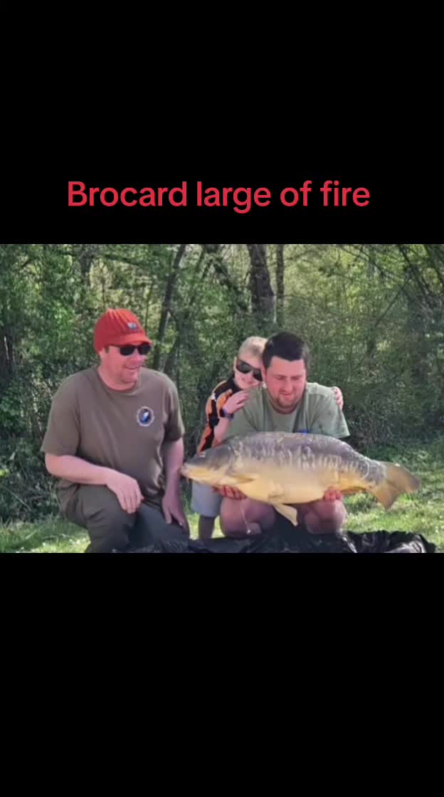 @scaley waters