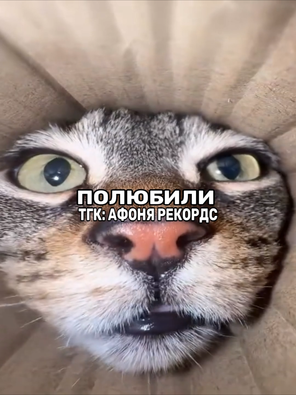 @афоня рекордс