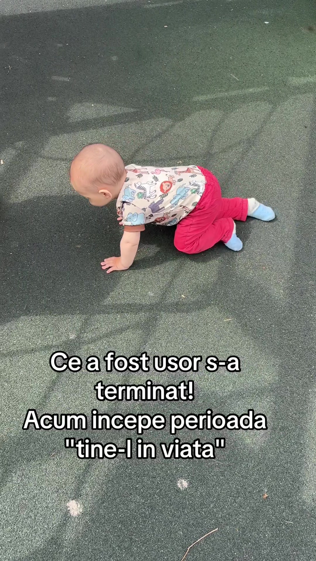 @miha.ela.20.17