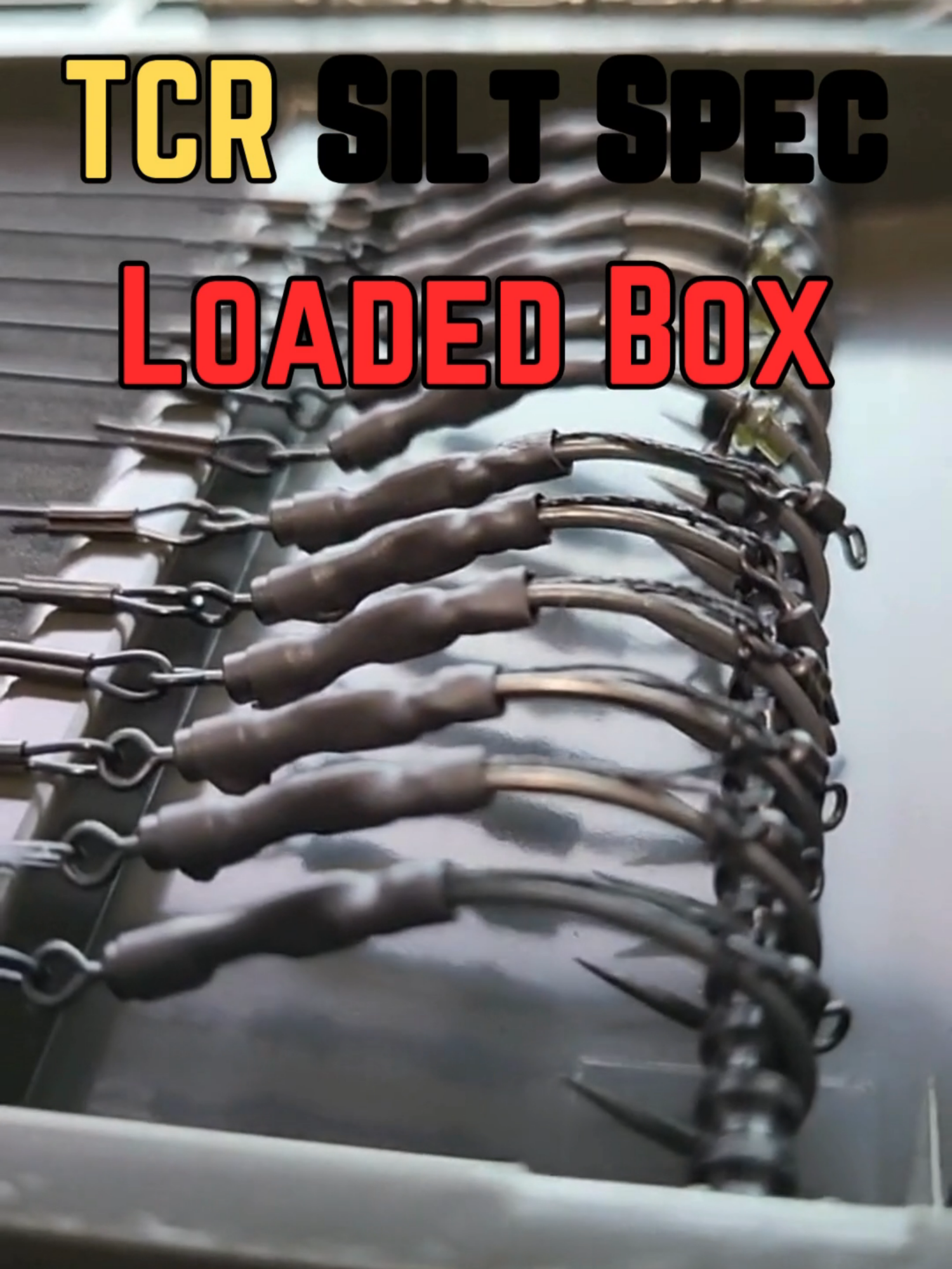 @Thats Carpy Rigs
