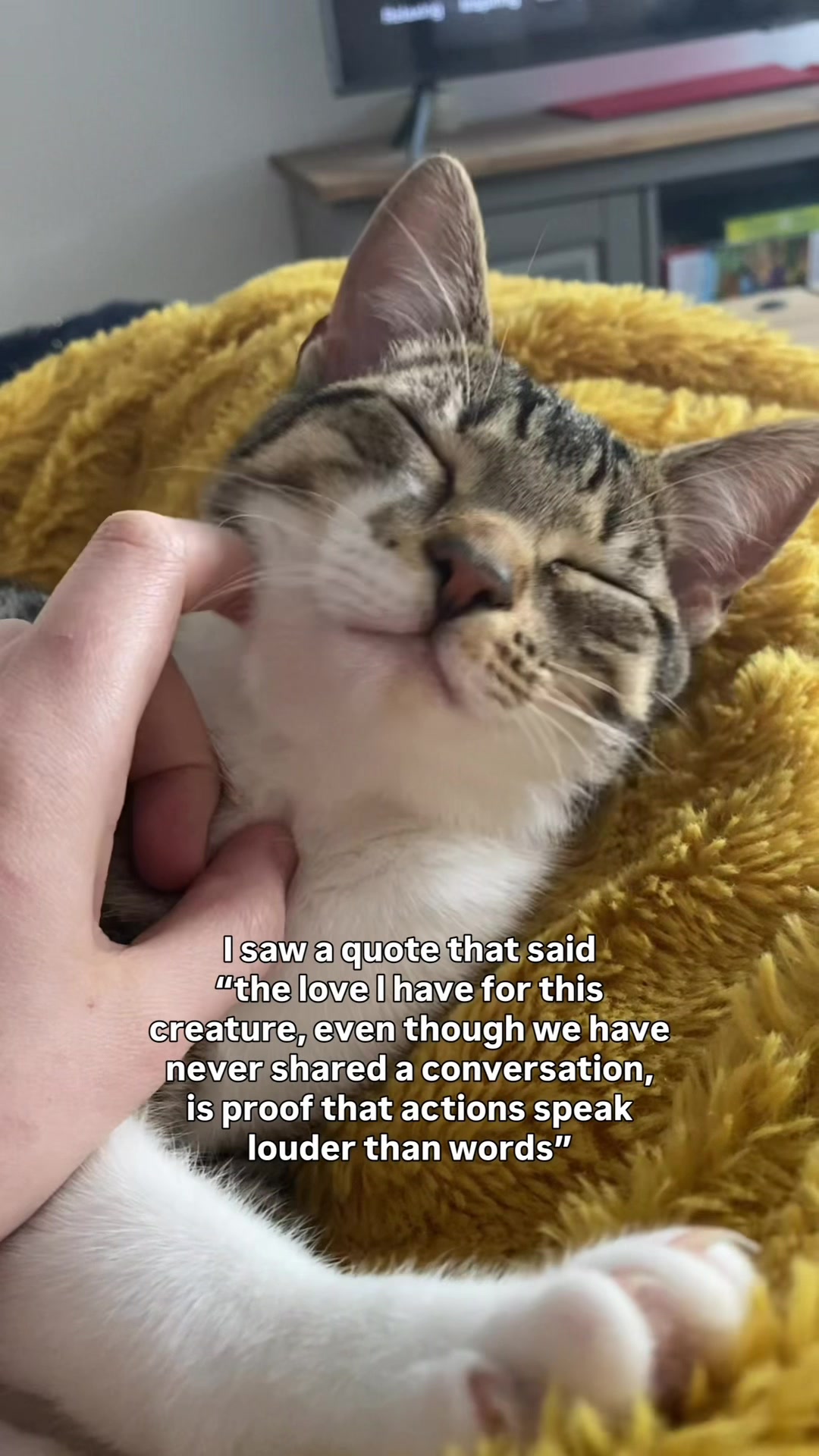 @lola_and_popps