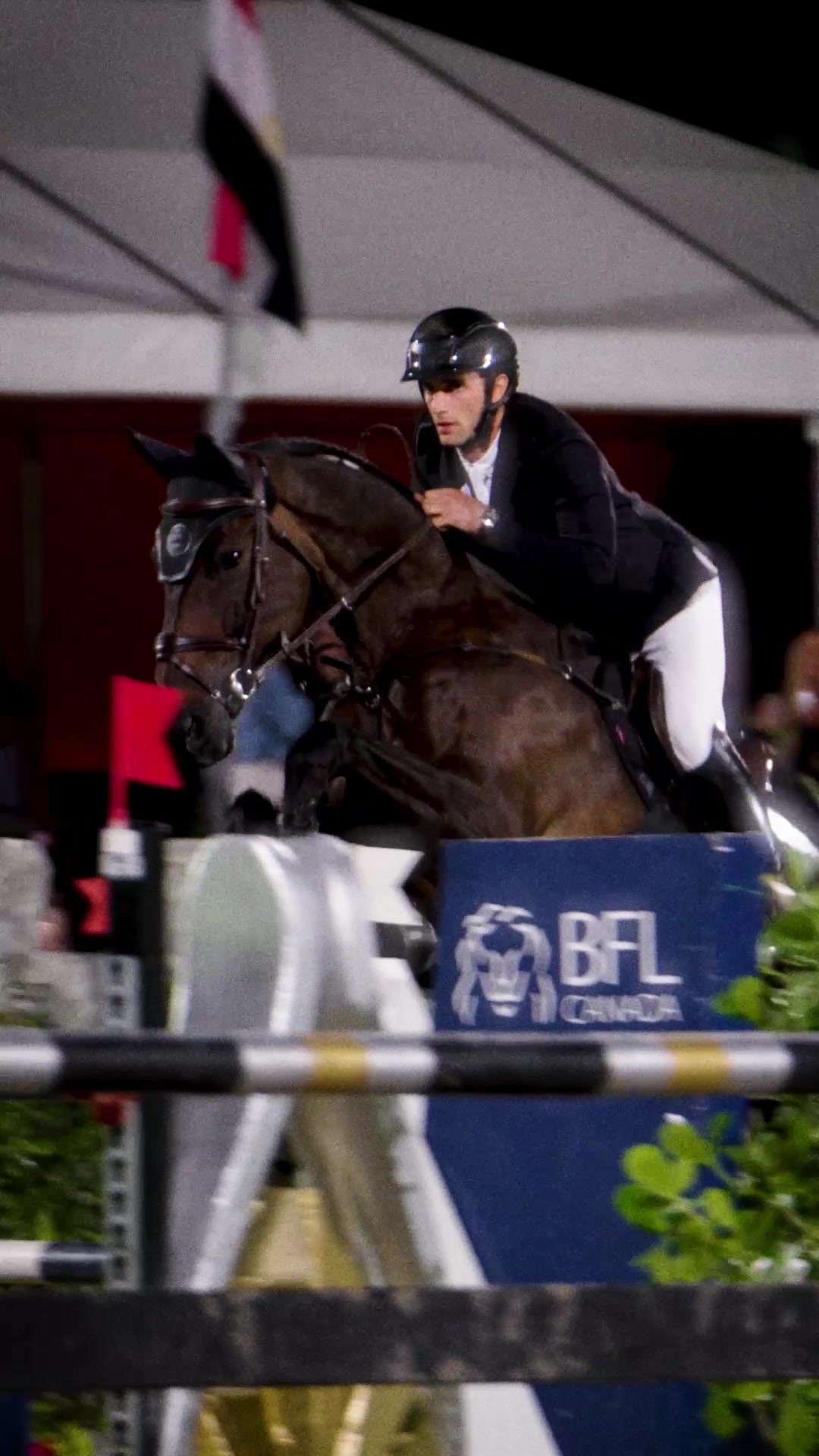@Major League Show Jumping