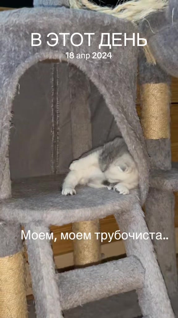 @Лилия Лебедева Соколова