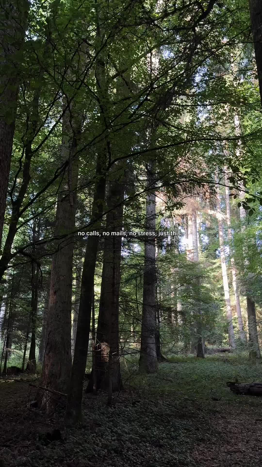 @SpiritGlow