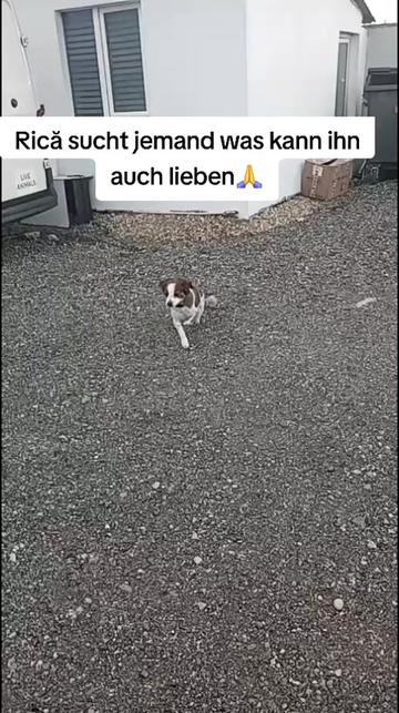 @Azzurra