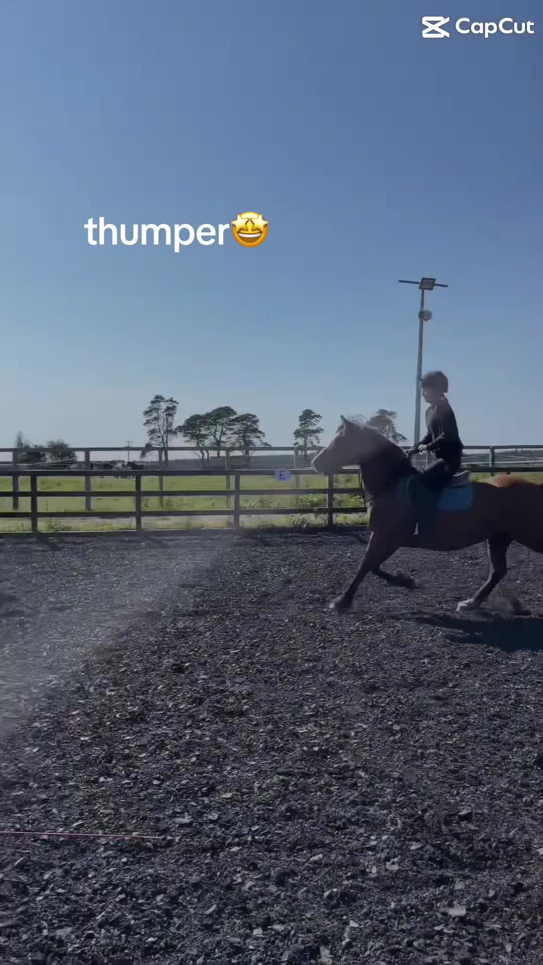 @annmarietaylor