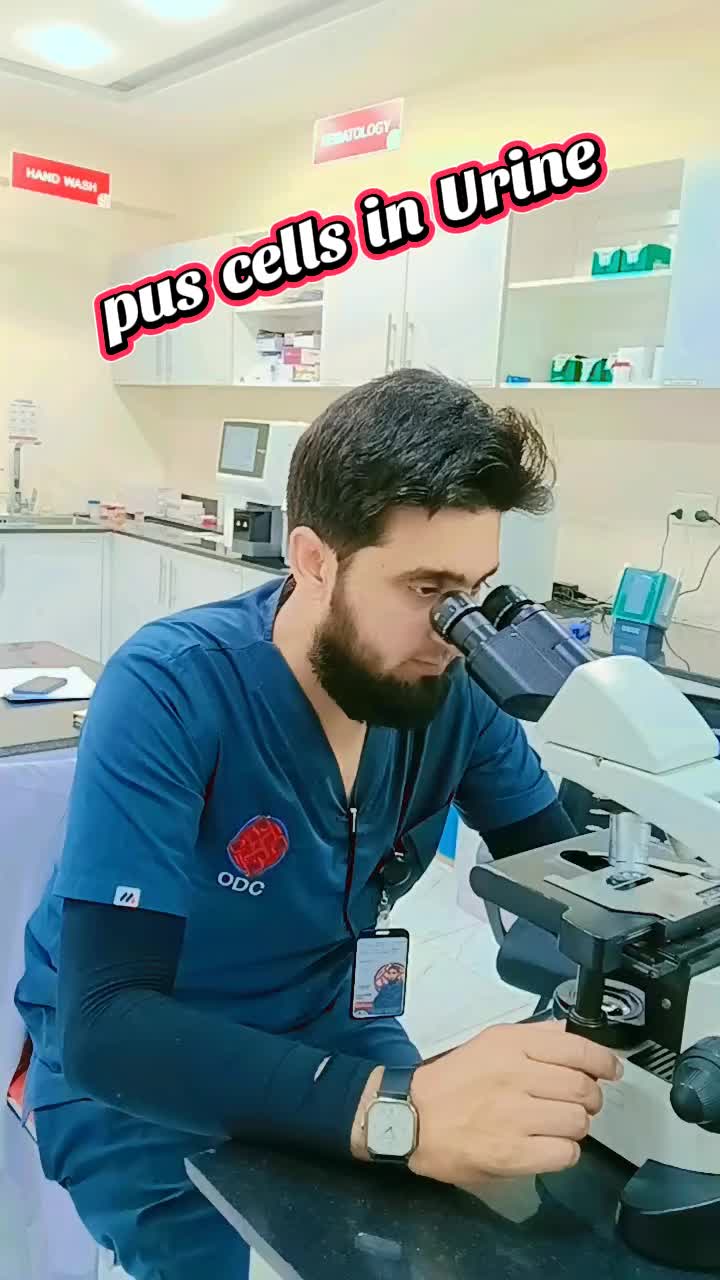 @professional Diagnostic Lab 🧪