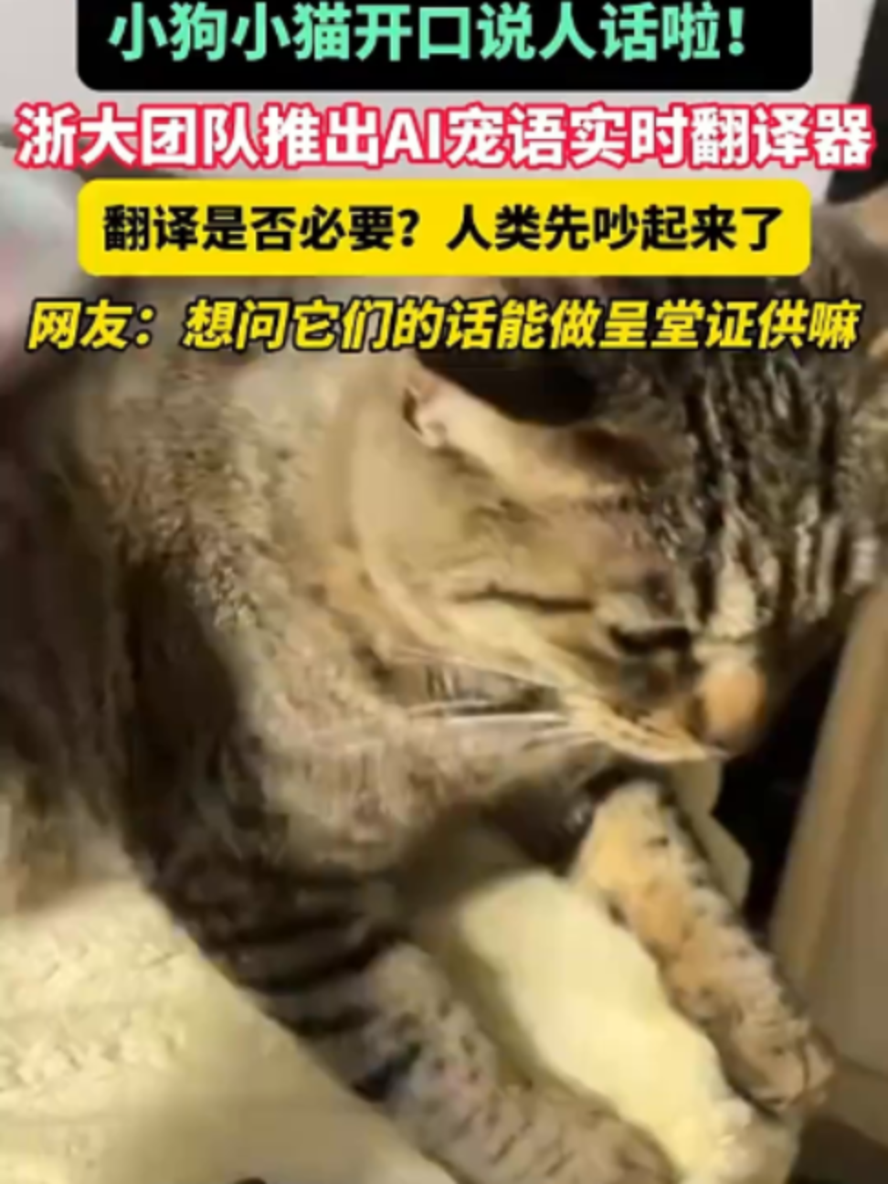 @中国蓝国际