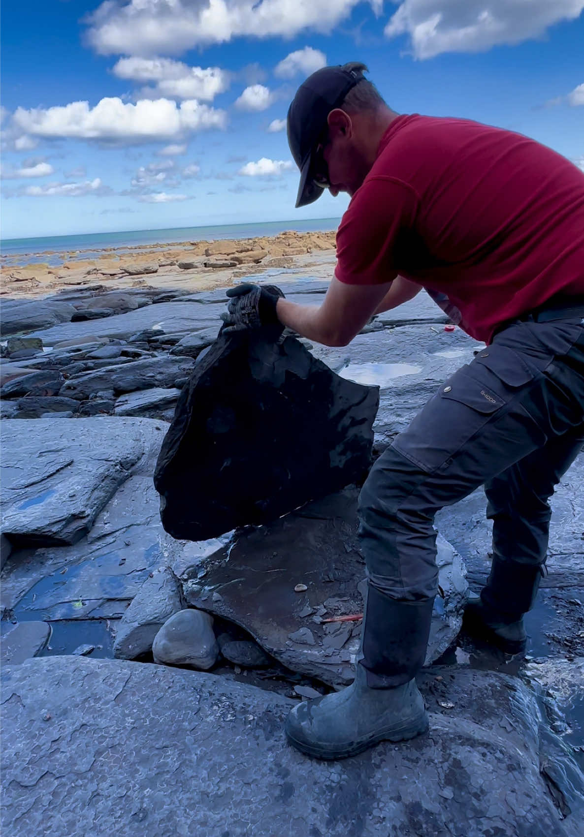 @yorkshire.fossils