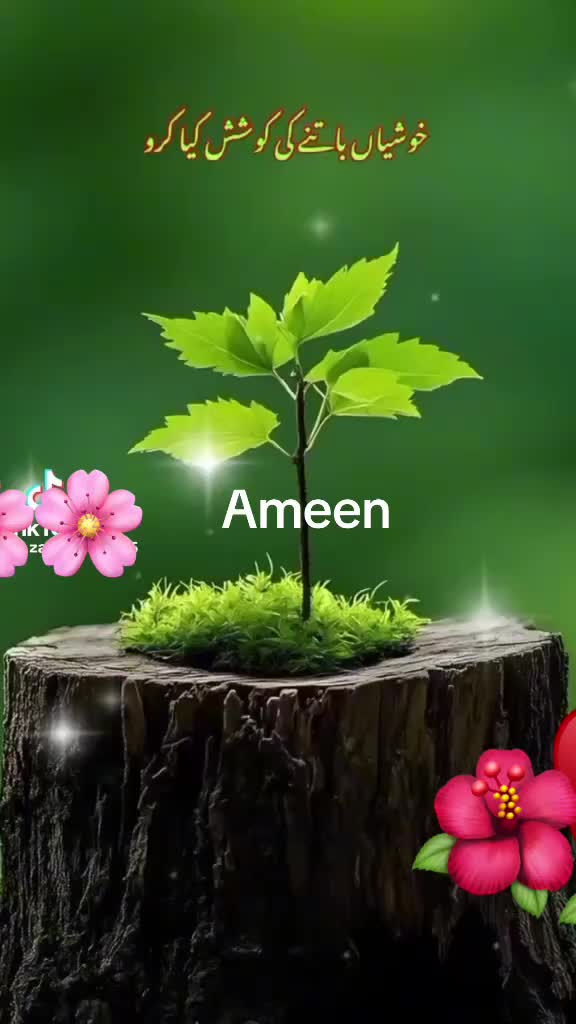 @Tahira