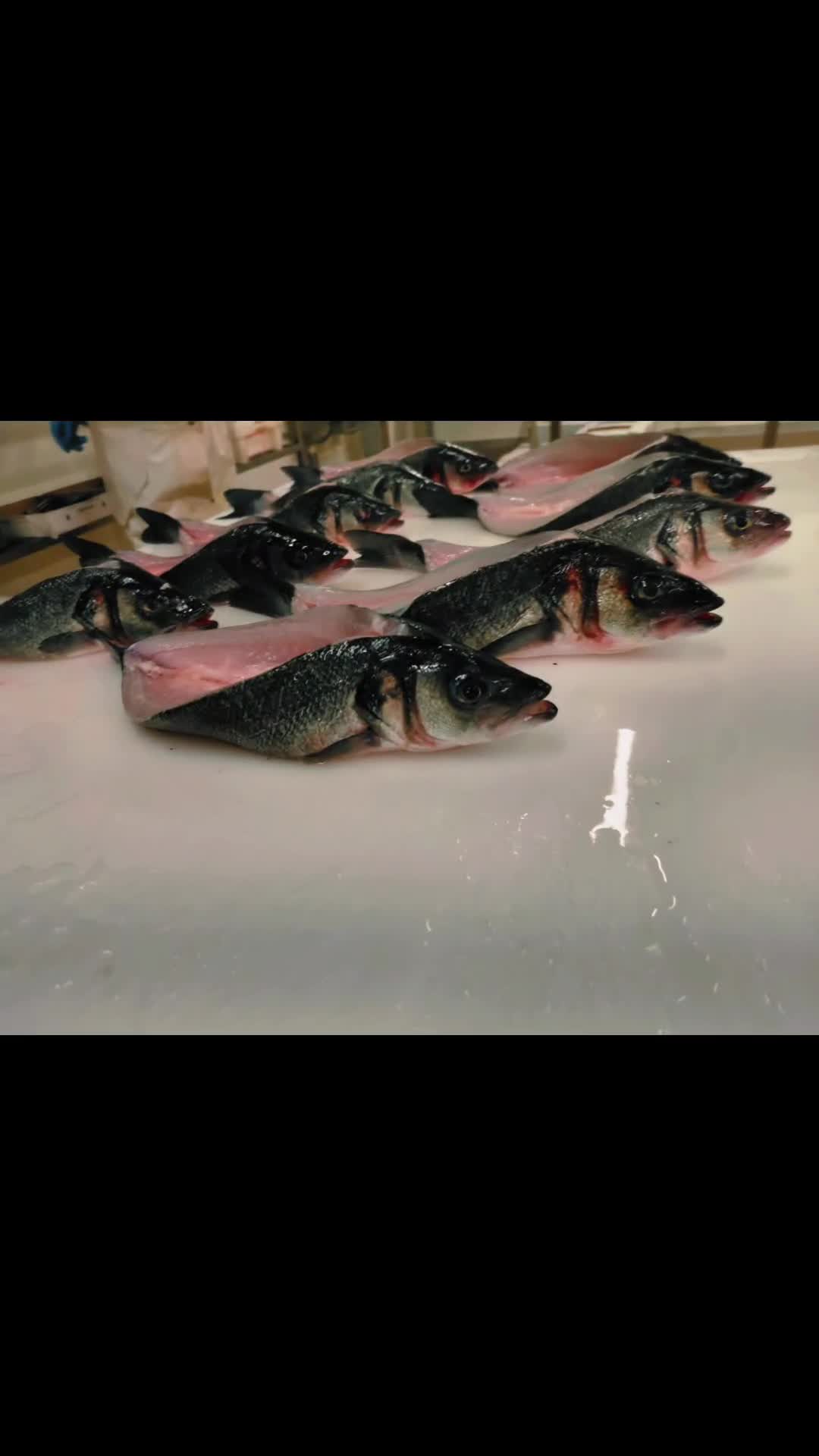@lapprenti.poissonier