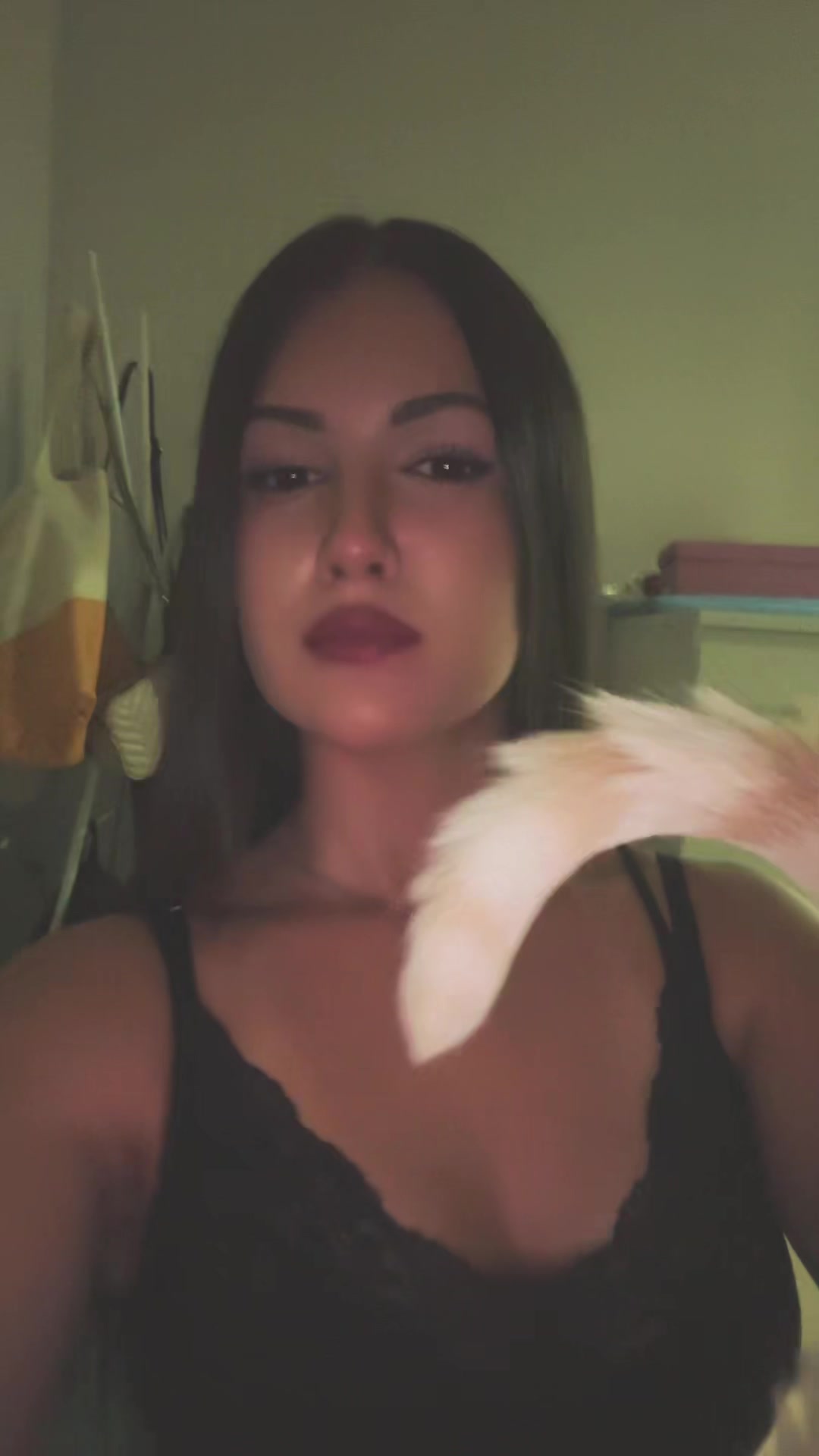@😼