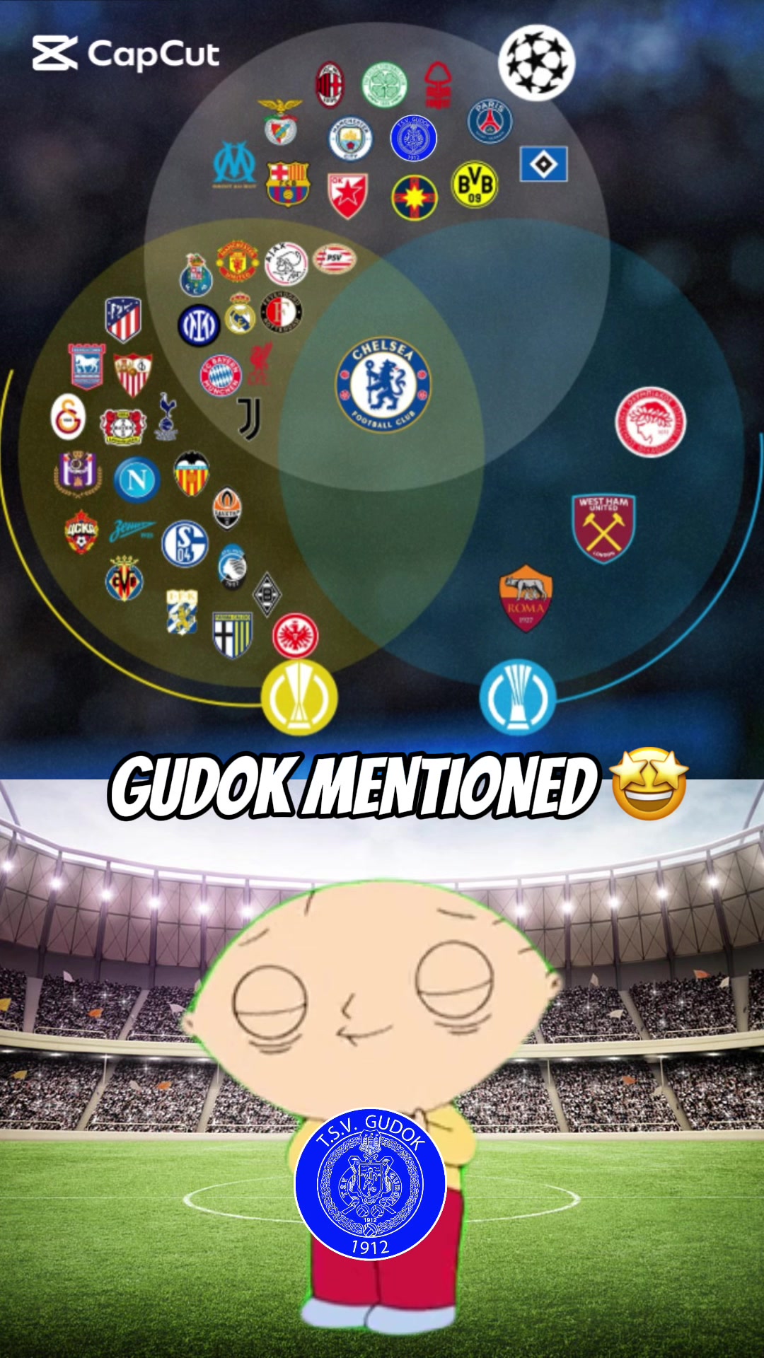 @TSV Gudok