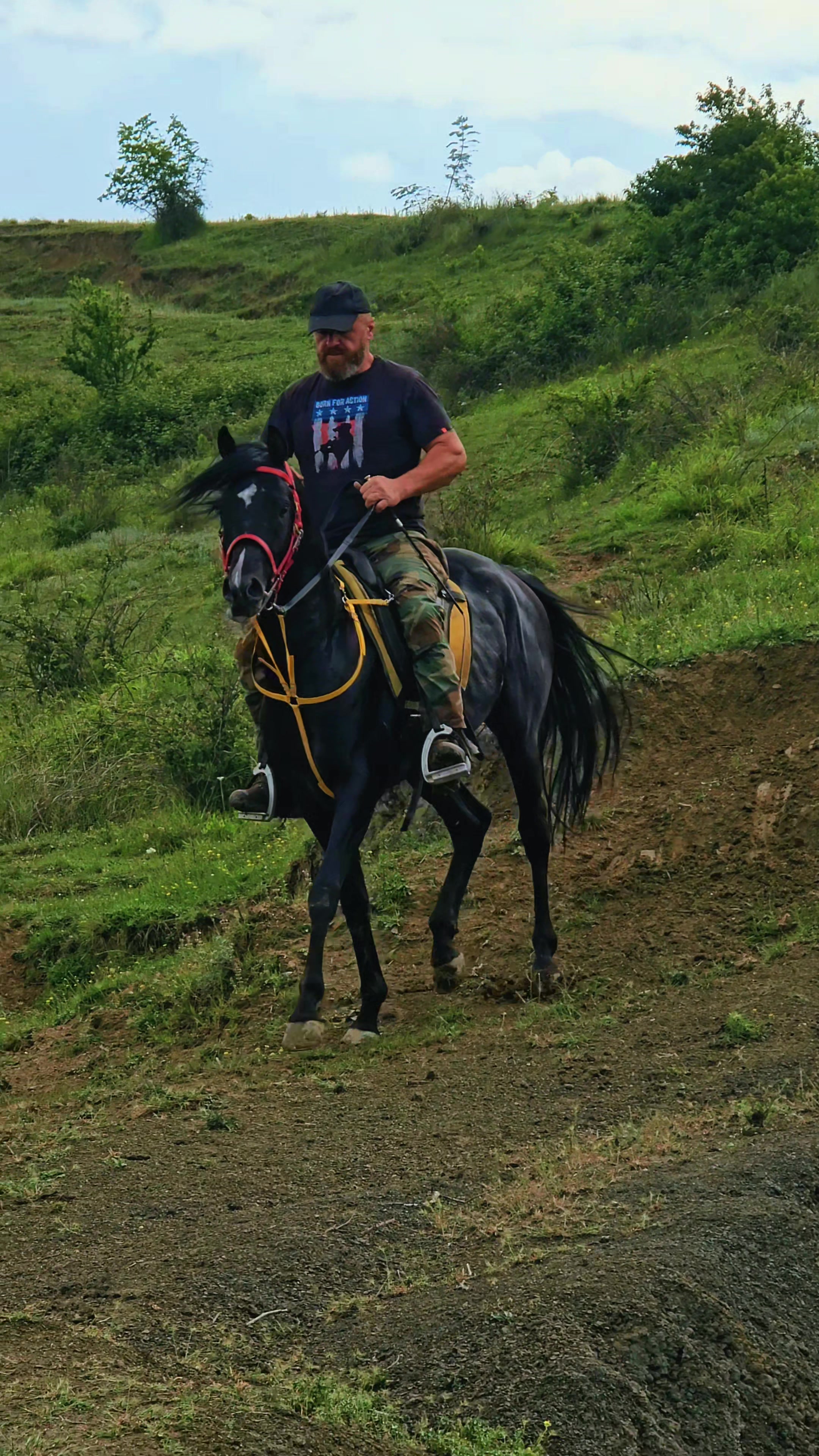 @Horse Training Center Albania