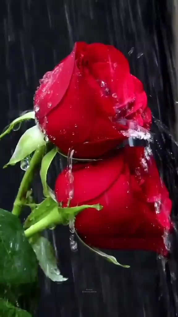 @Yasmeen👌🏻