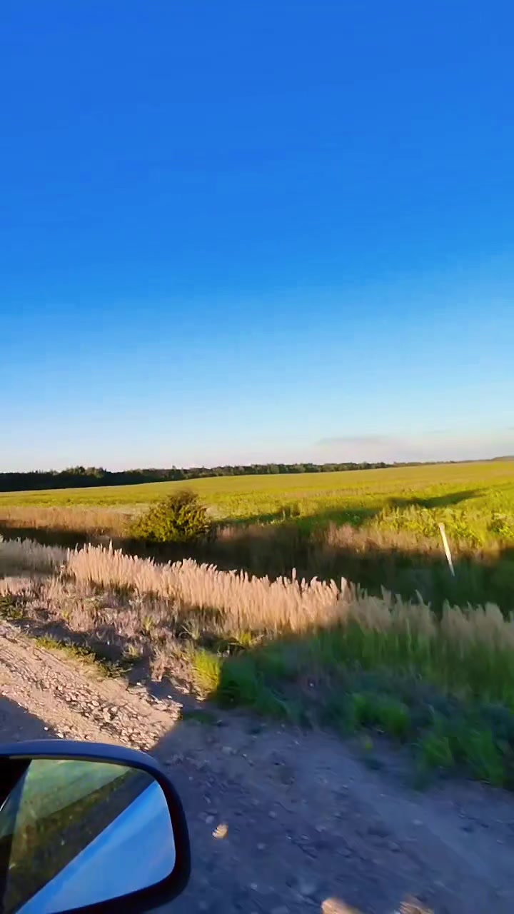 @☆Олеся☆