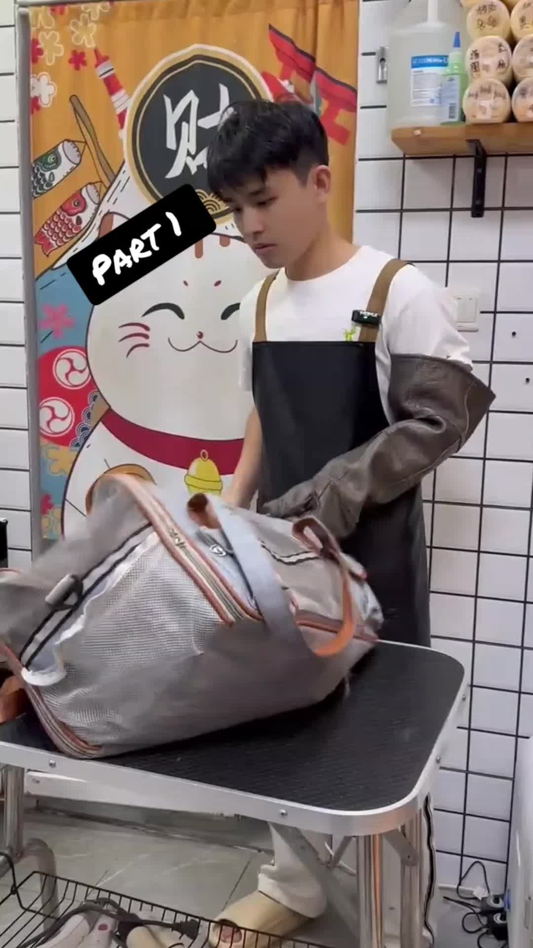 @Cat 😺 video