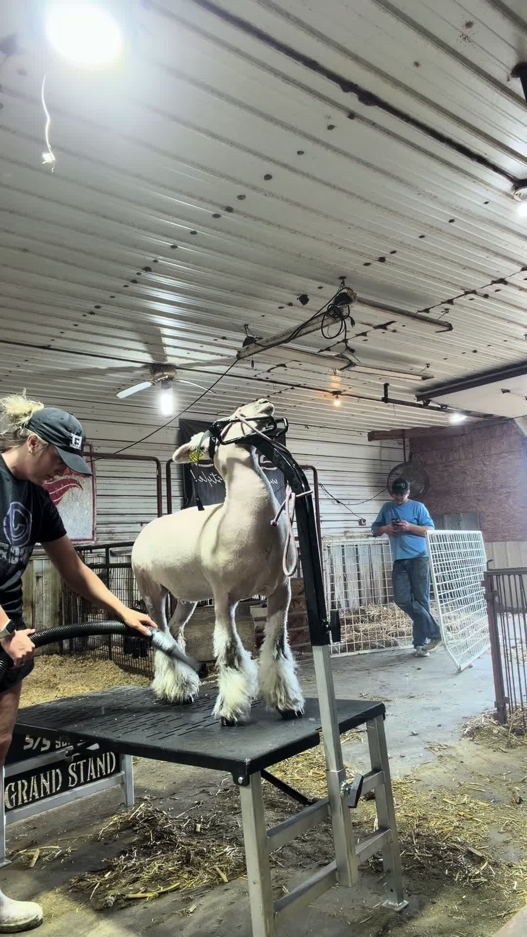 @ET Livestock