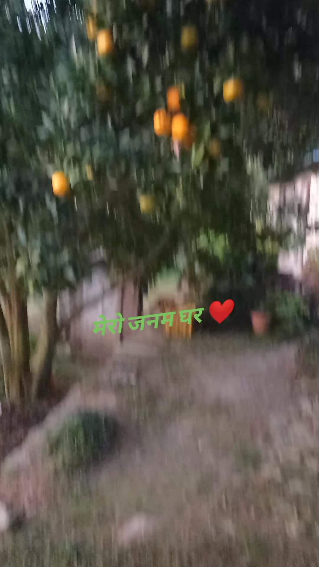 @Dhan Kumari Rai