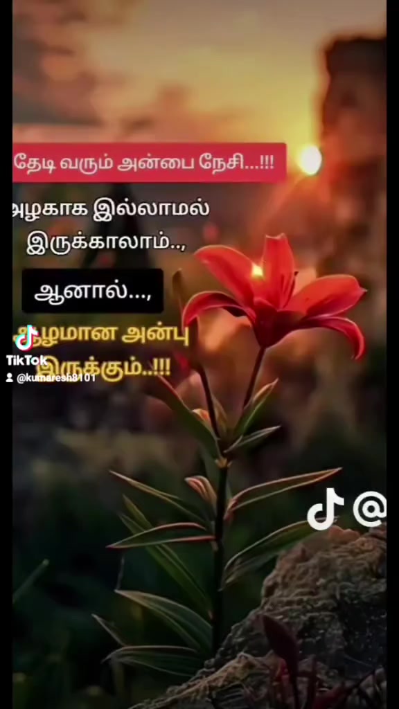 @kumaresh786.AB+🩸