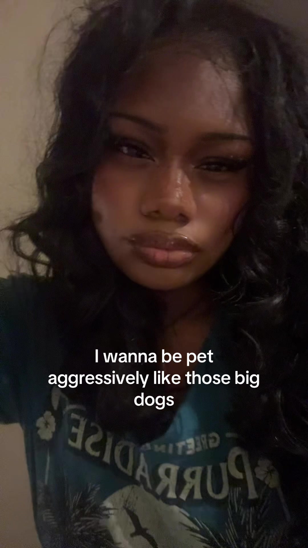 @danisaur0us