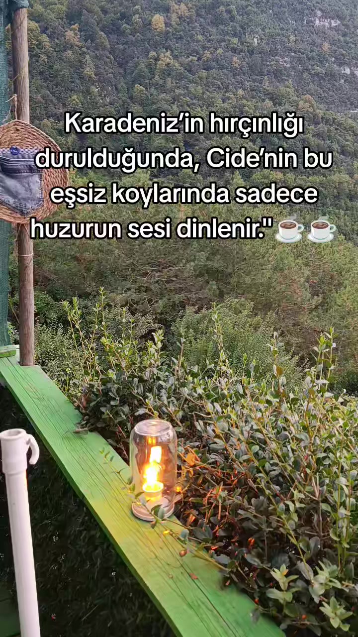@Fatma Gülecin