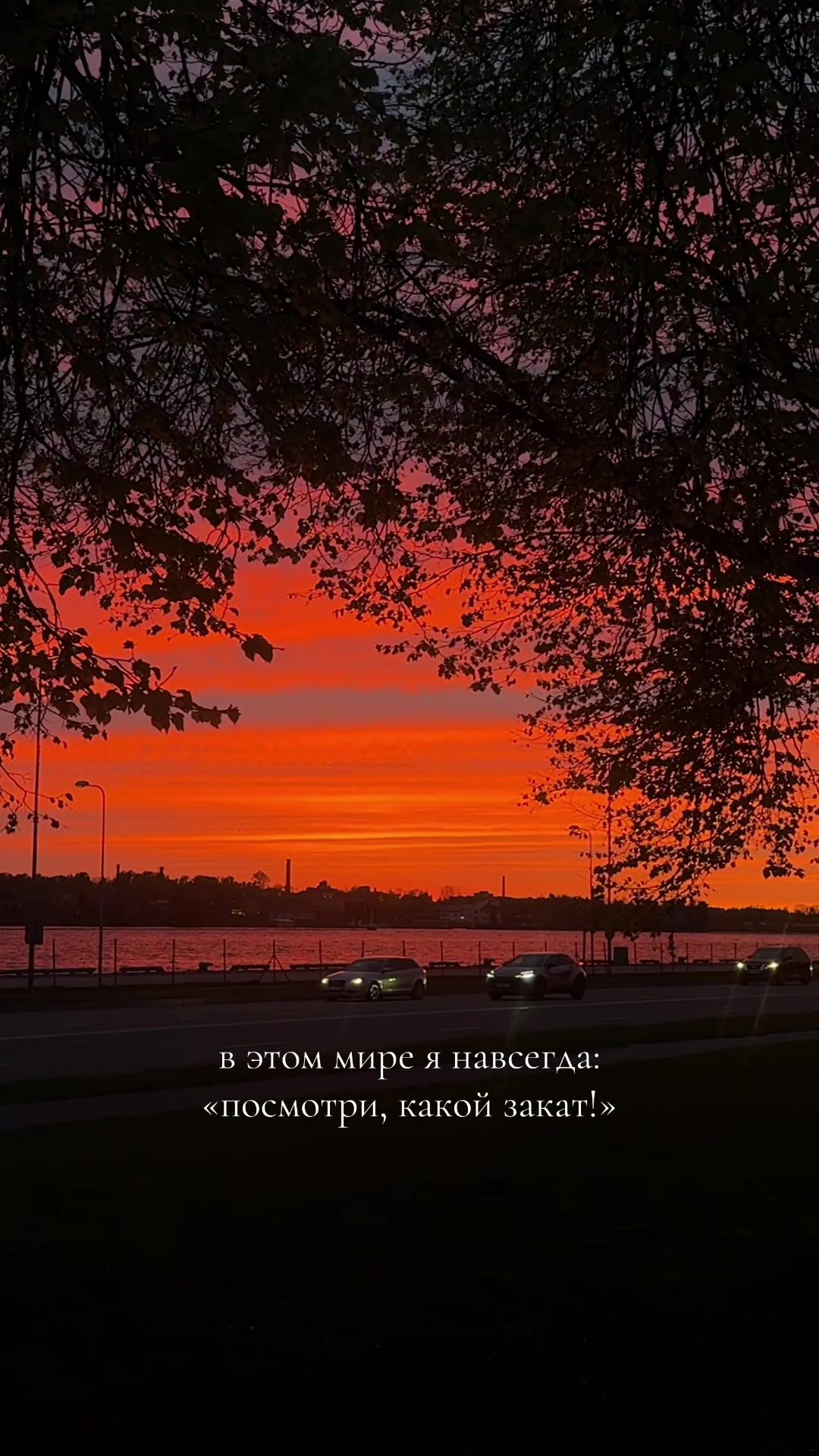 @Анастасия