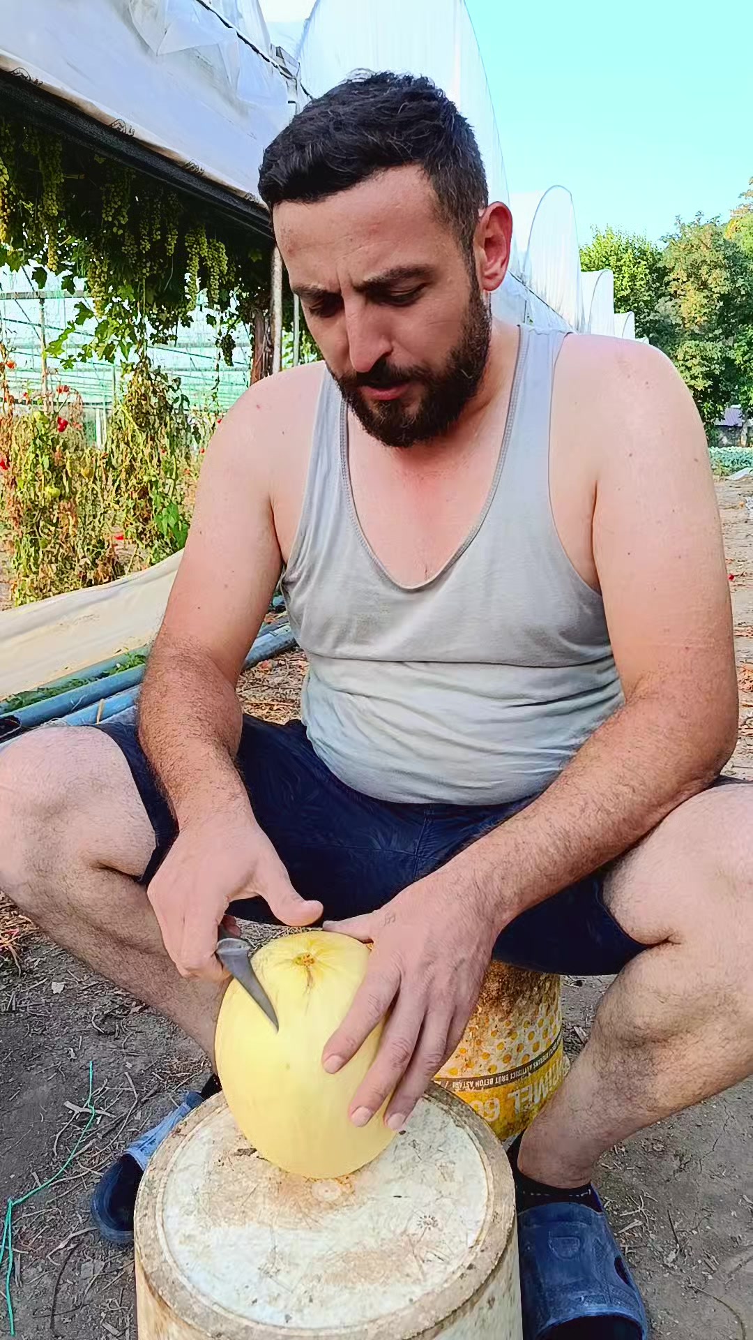 @Erdin meltem kıcır