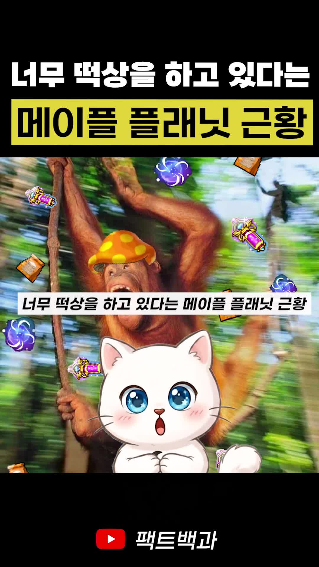 @인물백과