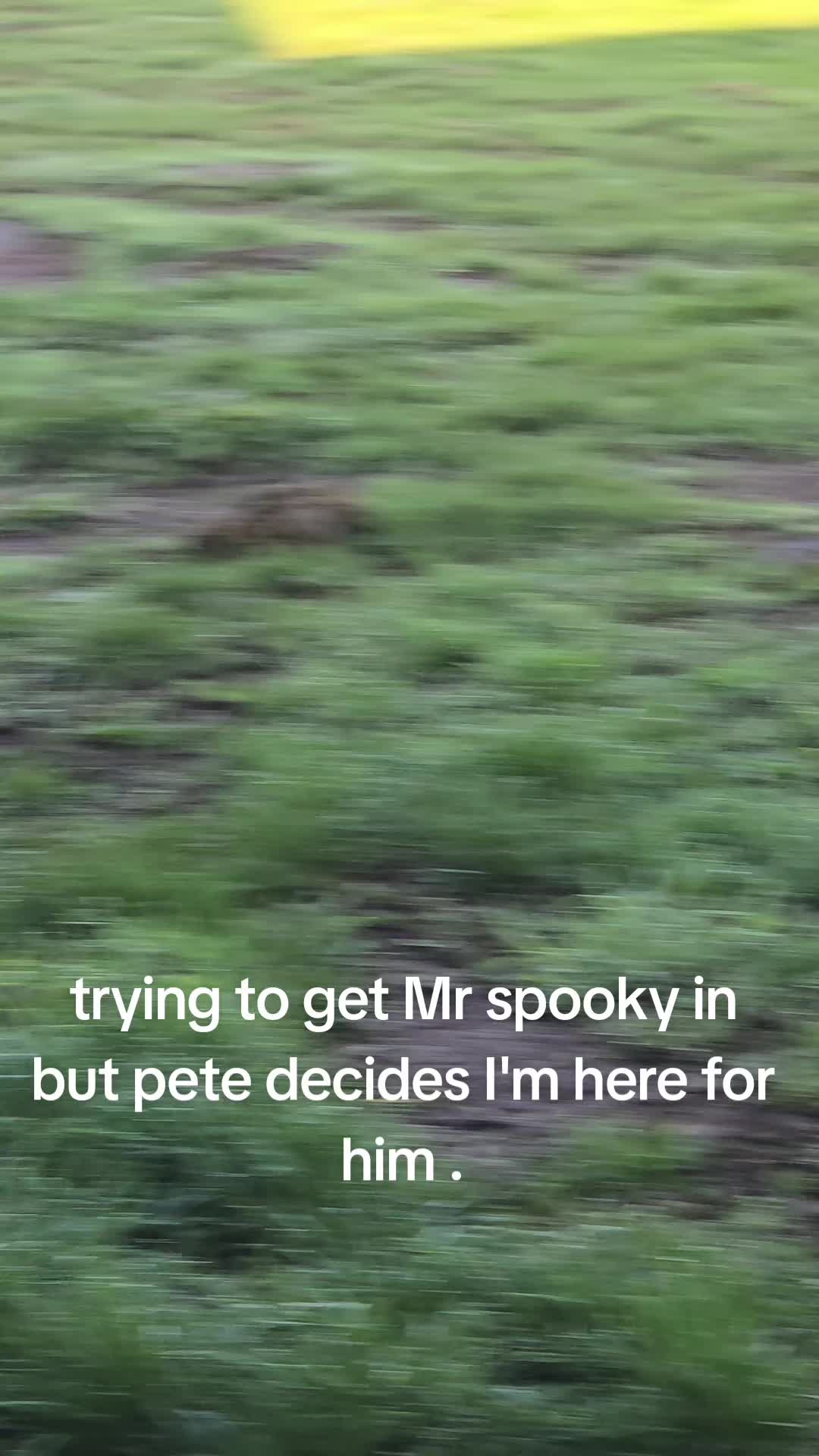 @ponymidlifecrisis