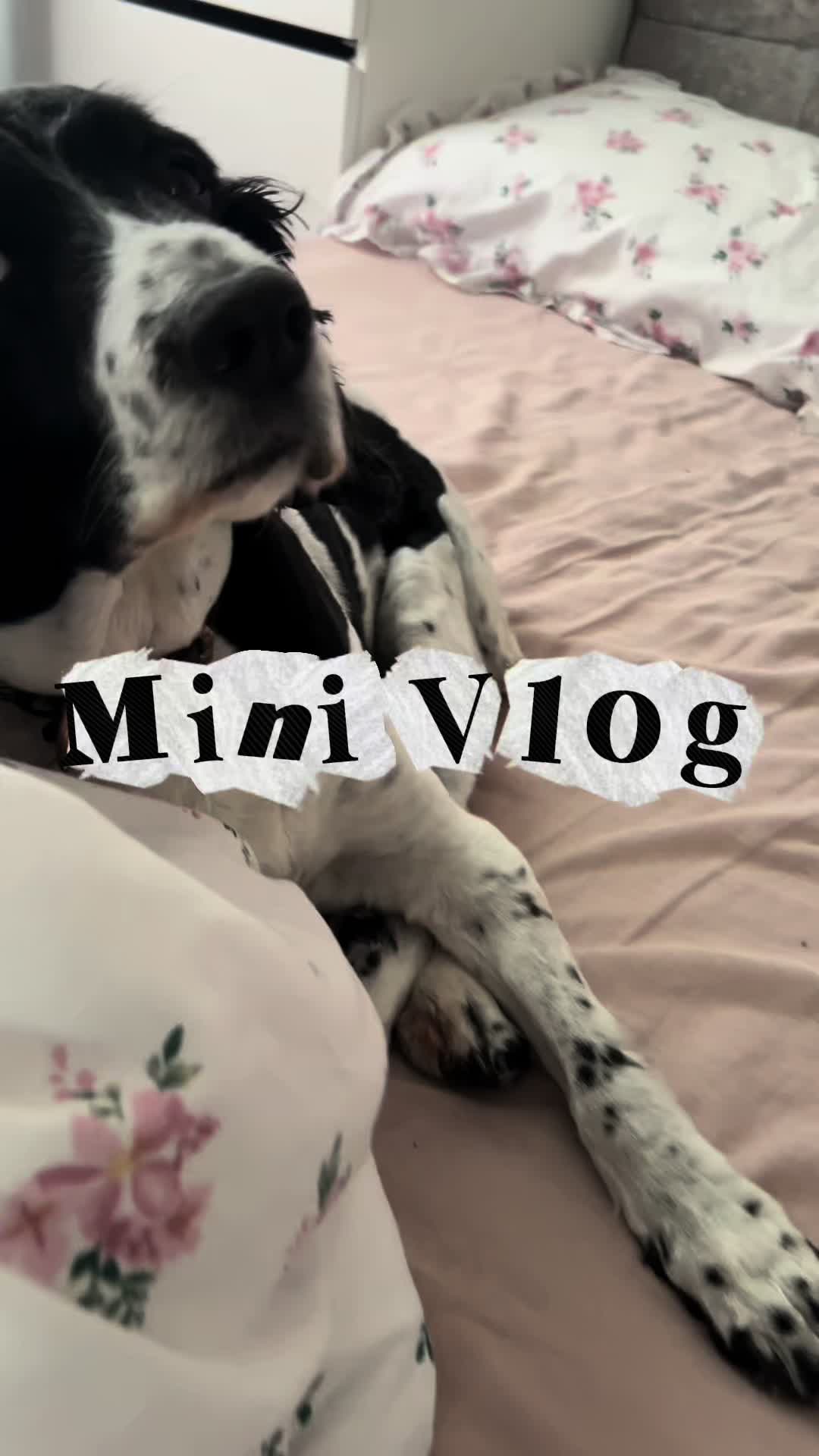 @megansdiary