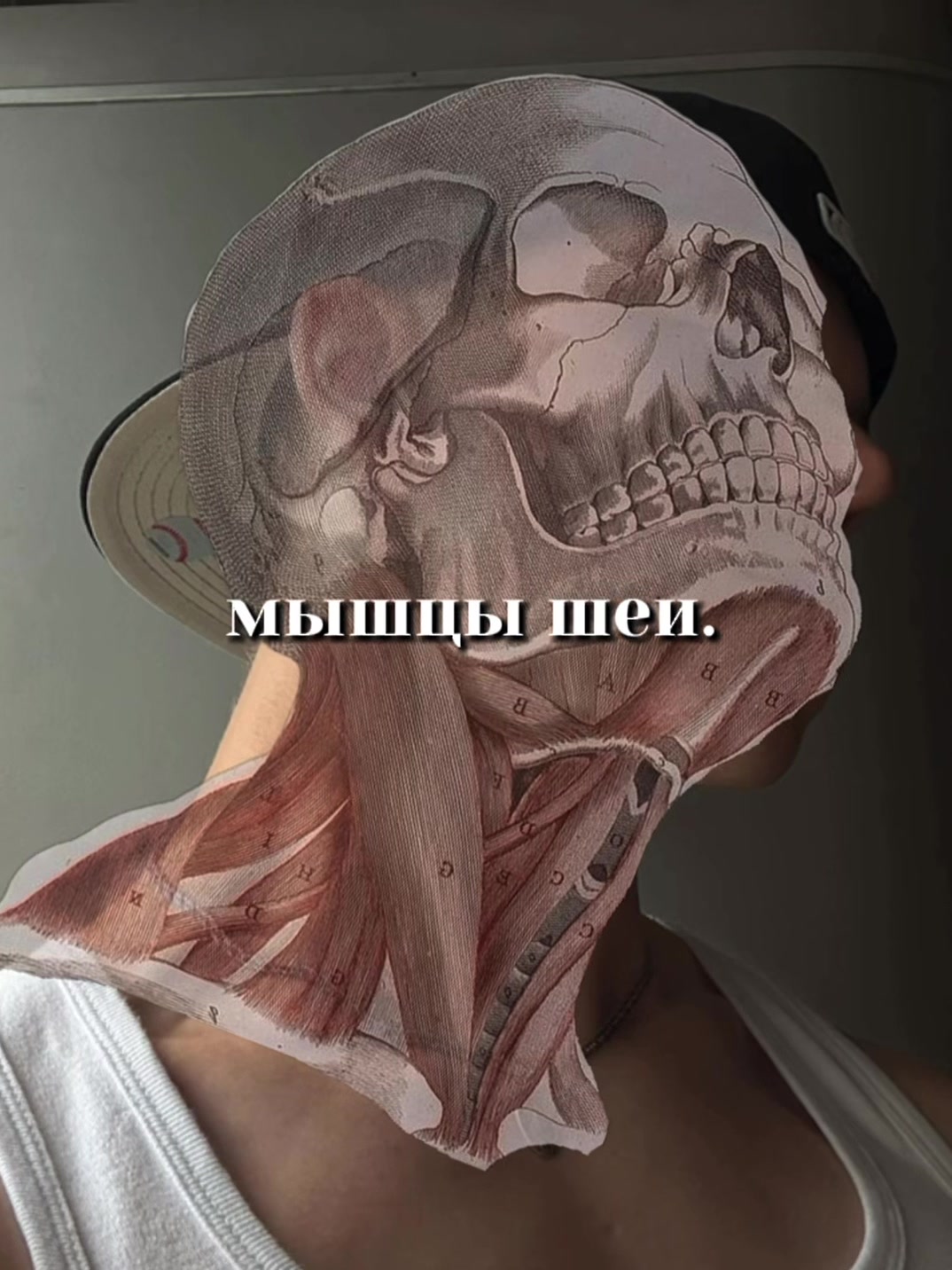 @тгк: timmylife