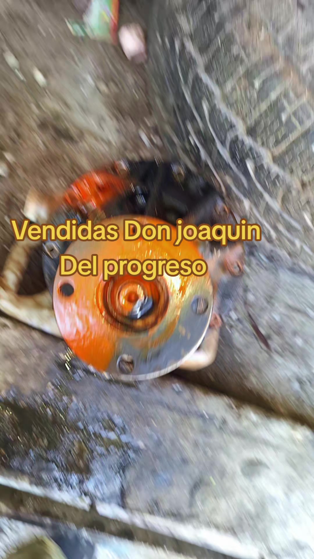 @LEÓNZO/ R.D /REY