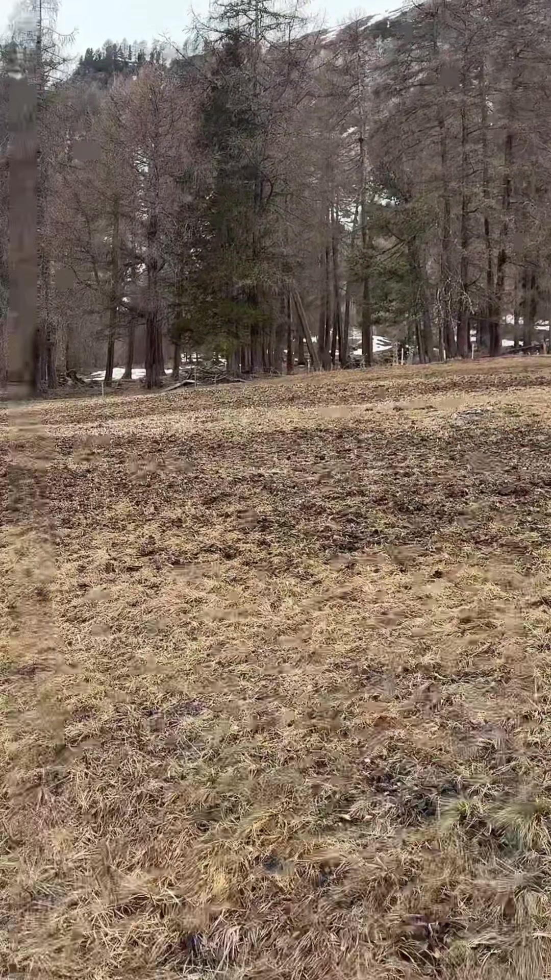 @Birobiro🚵&zwj;♂️
