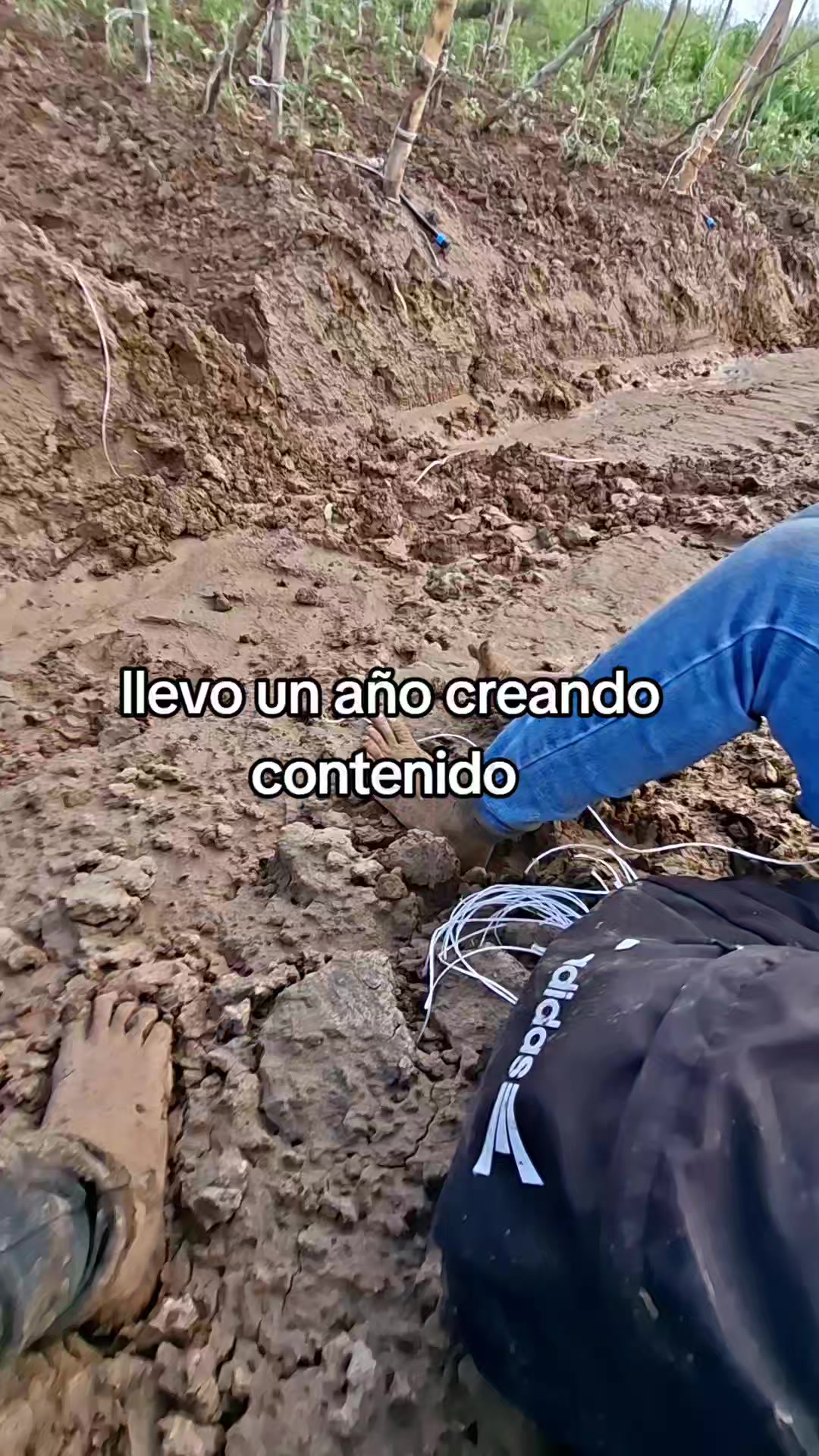 @soy_marisol_ofic1al