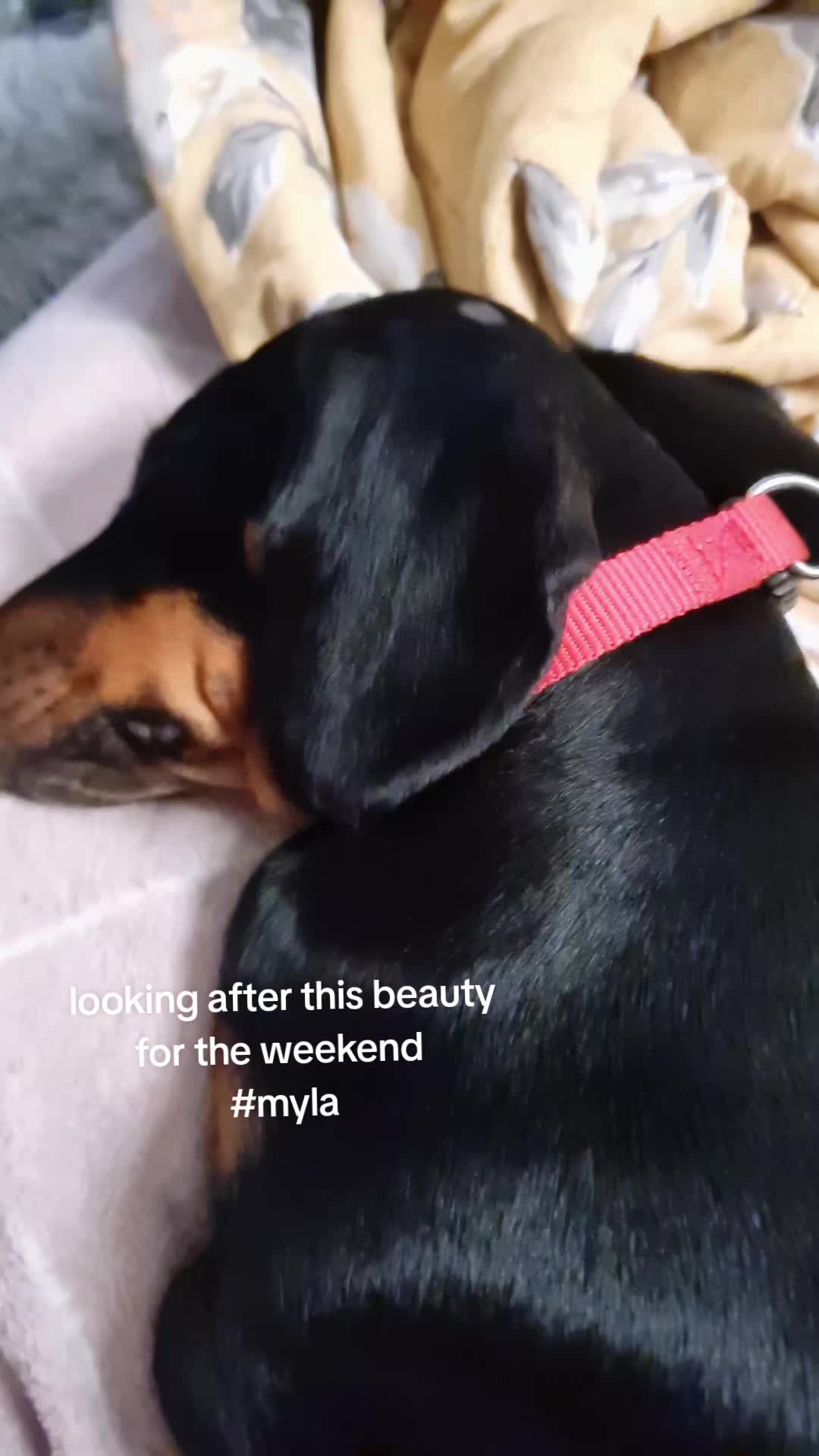 @&hearts;︎&hearts;︎Toxic_Twins_Bitch★★