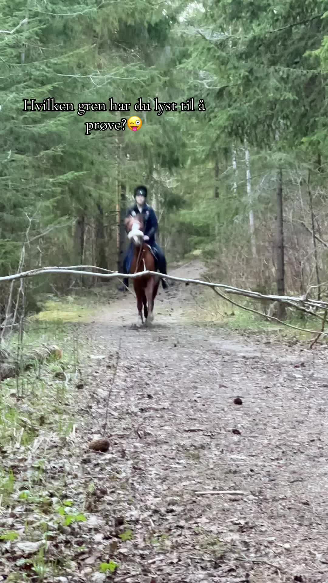 @🇳🇴TG_mga🇳🇴