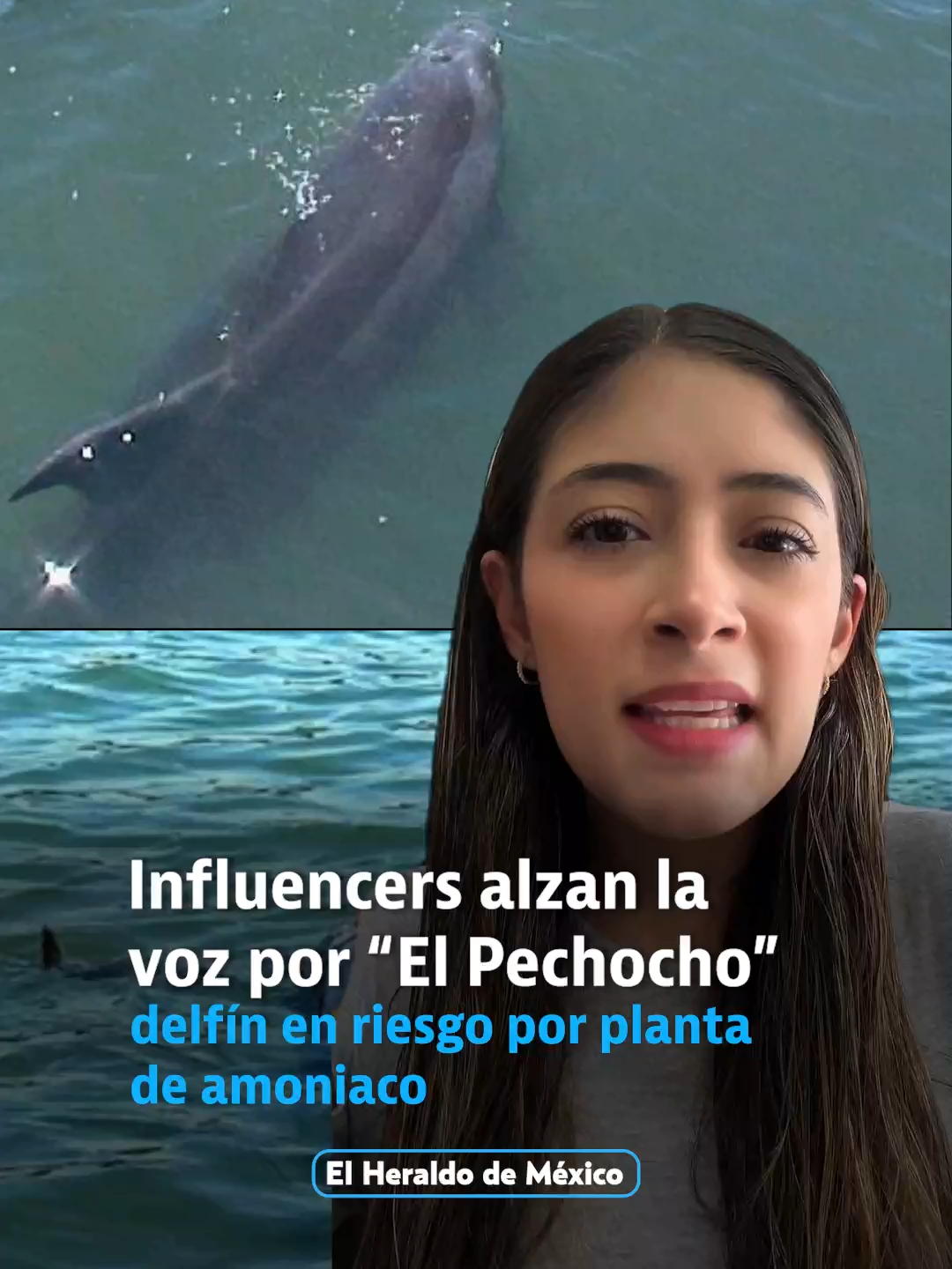@elheraldodemexico