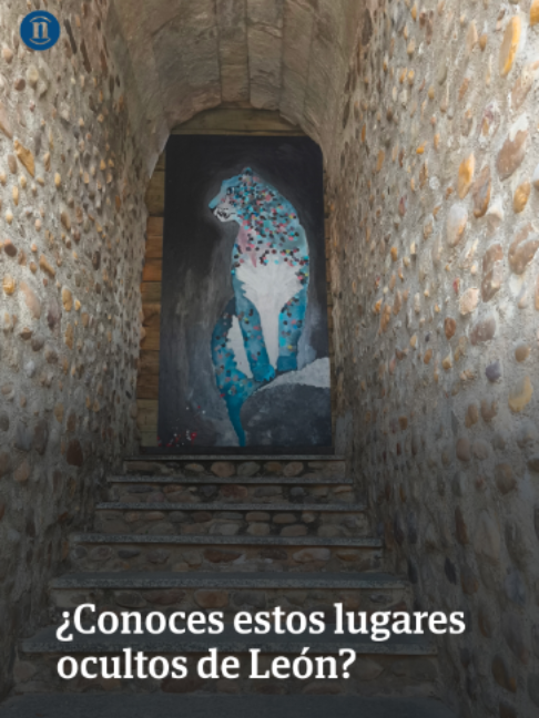 @leonoticias_